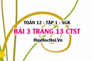 Bài 3 trang 13 Toán 12 tập 1 Chân trời sáng tạo